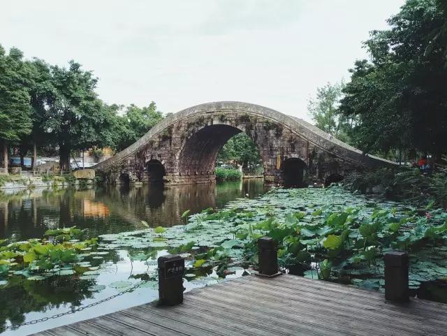 云顶老虎机