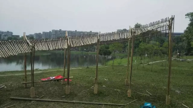云顶老虎机