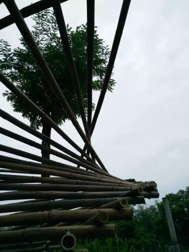 云顶老虎机