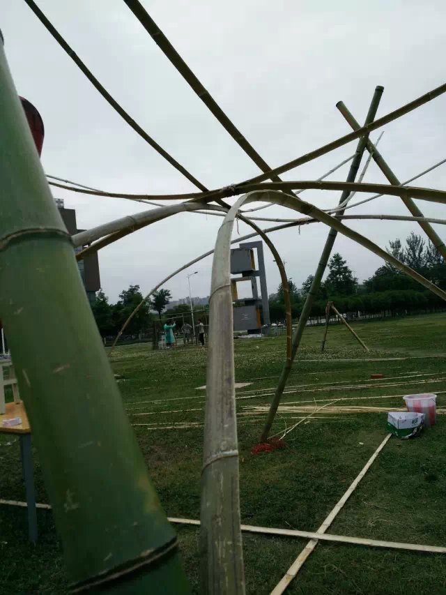 云顶老虎机