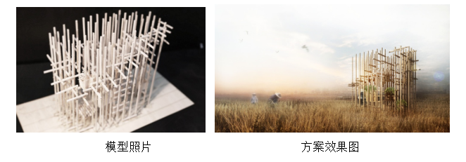 云顶老虎机